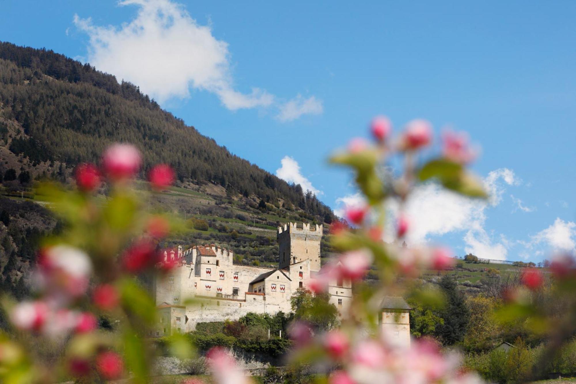 Bed and Breakfast Garni Marianne Malles Venosta Esterno foto
