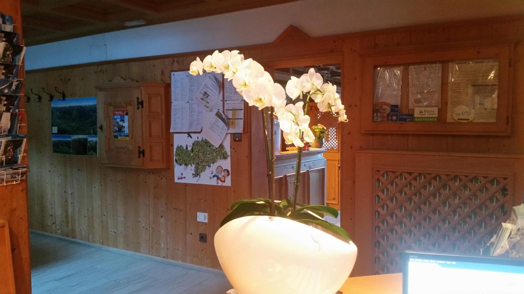 Bed and Breakfast Garni Marianne Malles Venosta Esterno foto