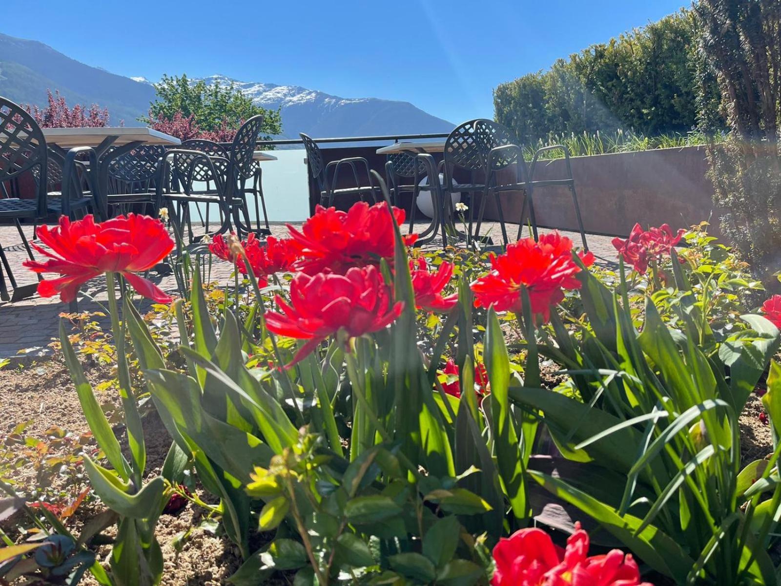 Bed and Breakfast Garni Marianne Malles Venosta Esterno foto