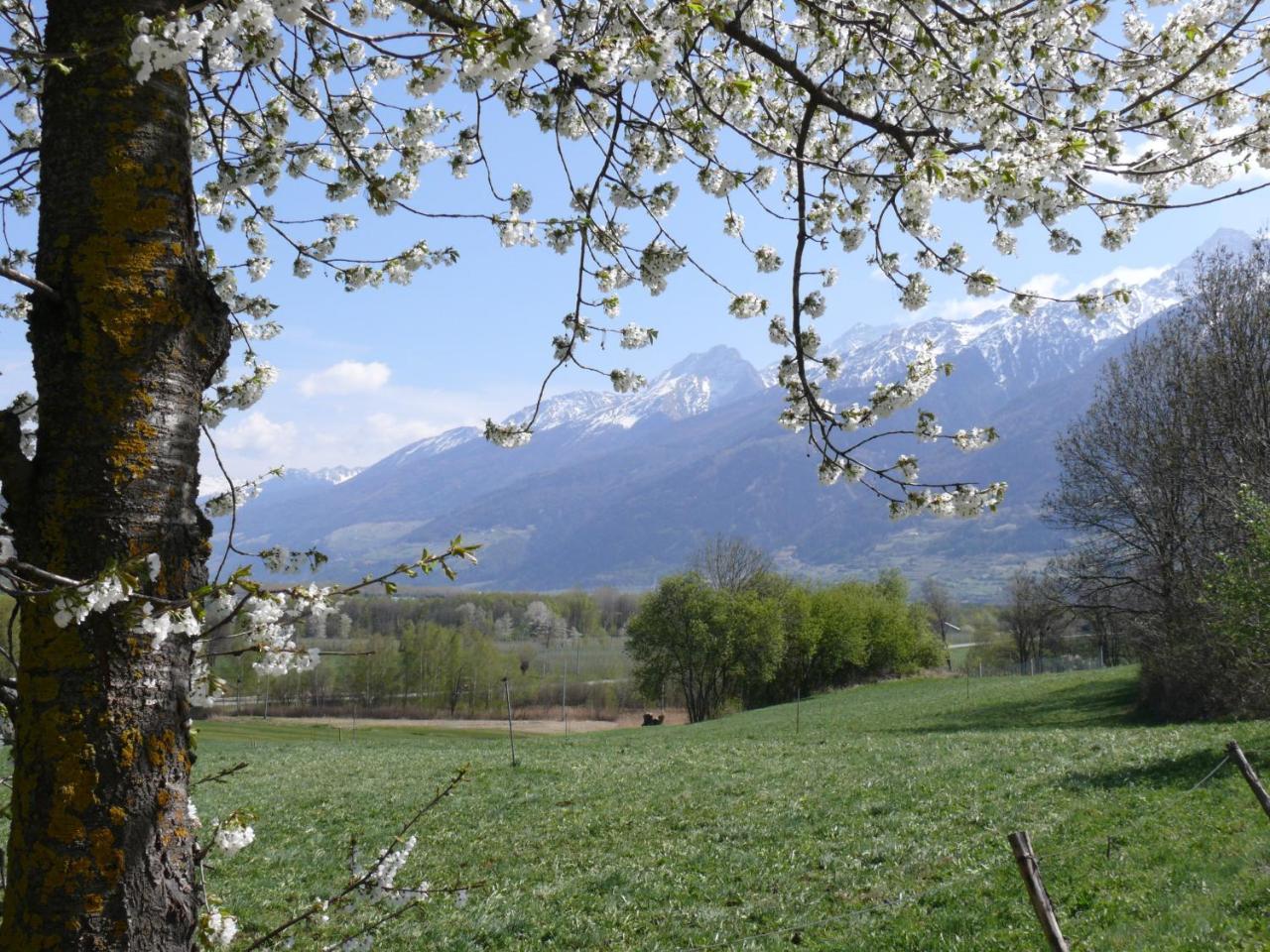 Bed and Breakfast Garni Marianne Malles Venosta Esterno foto